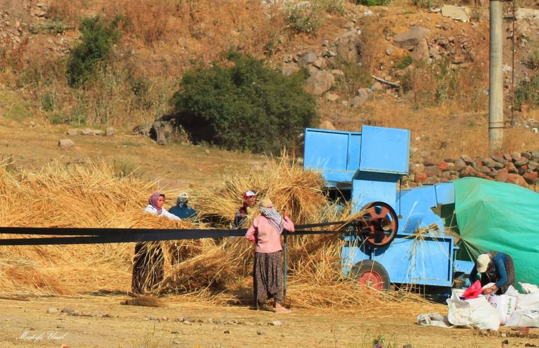 Konya’da kuraklığın içine çizilmiş harman portresi 4